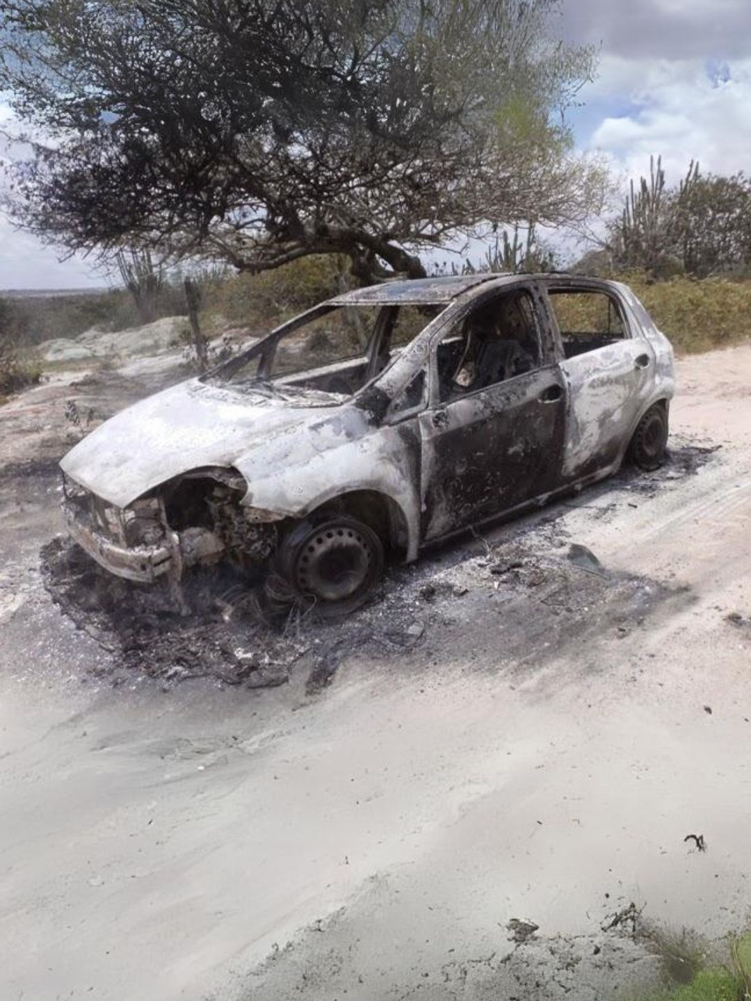 7 Problemas Crônicos do Fiat Punto no Brasil
